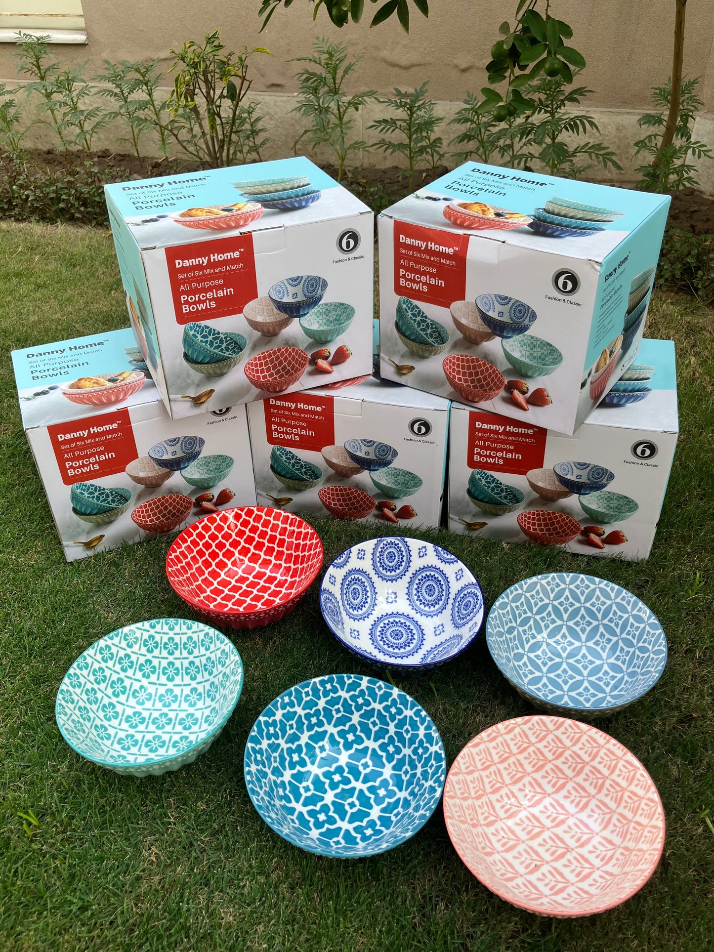 Danny Home Multicolour Soup Bowl (6Pcs)