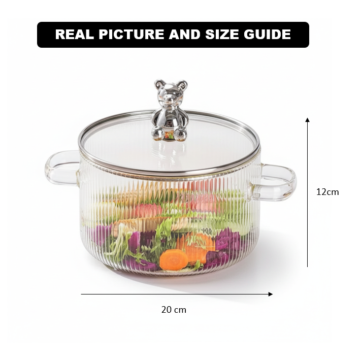 Borosilicate Glass Saucepan with Lid 2L